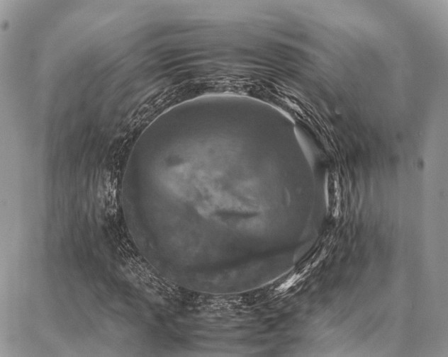 X0000087361013200704201142