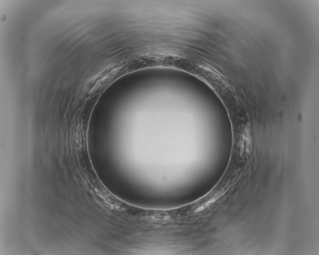 X0000087361014200704201142