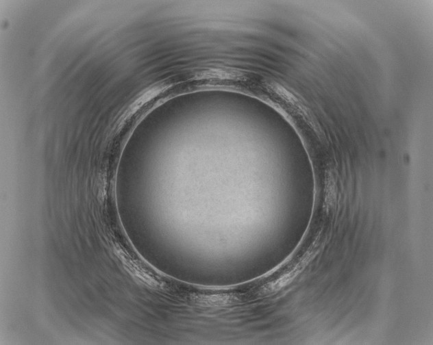 X0000087361017200704201142