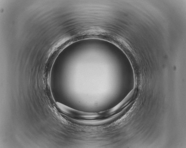 X0000087361018200704201142