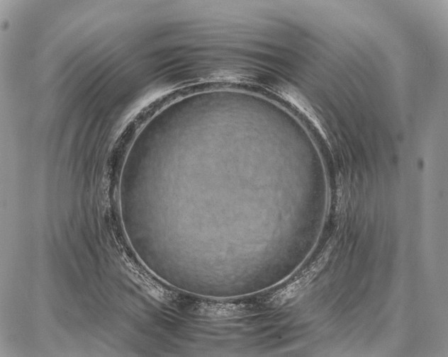X0000087361019200704201142