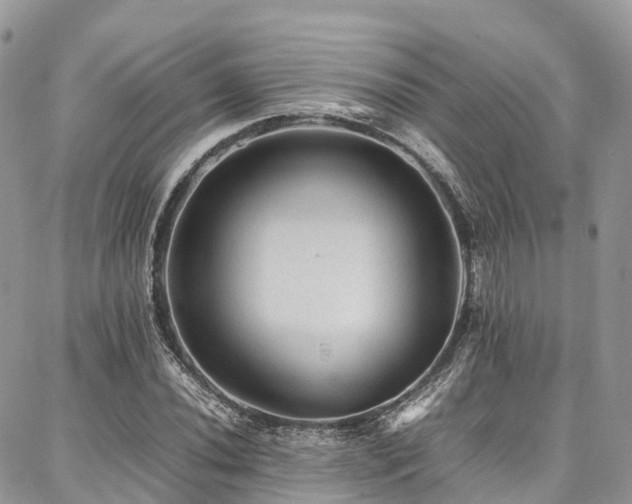 X0000087361020200704201142