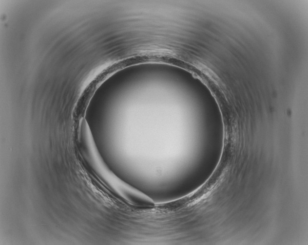 X0000087361022200704201142