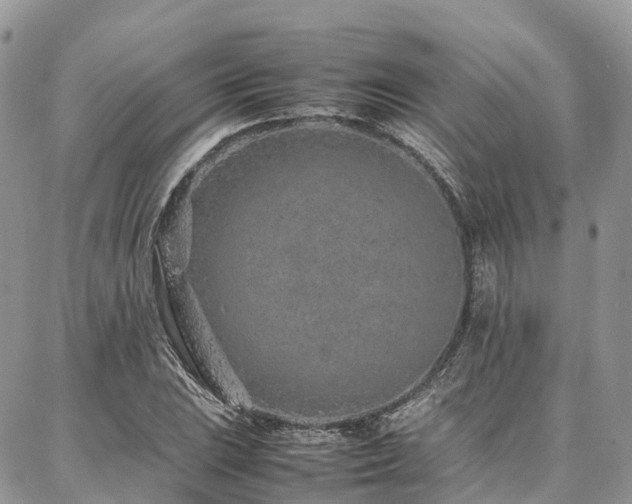 X0000087361023200704201142