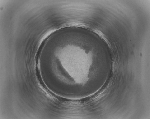 X0000087361024200704201142