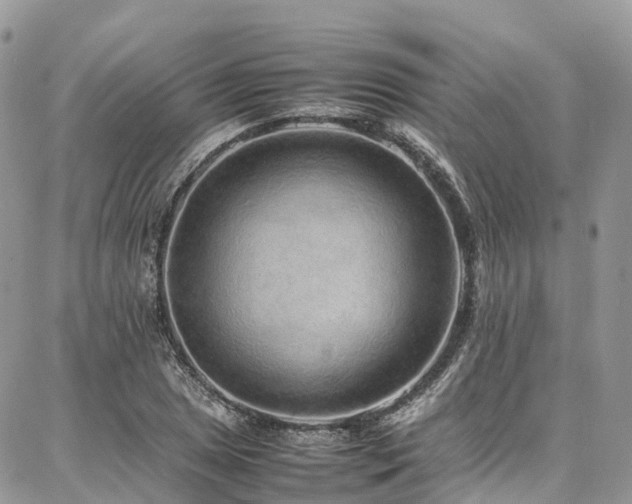 X0000087361025200704201142