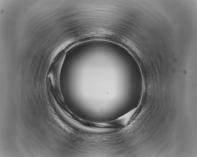 X0000087361026200704201142