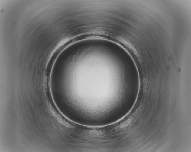 X0000087361029200704201142