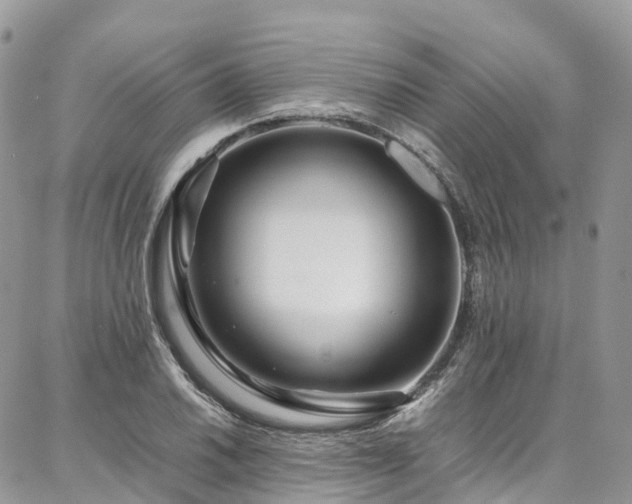 X0000087361030200704201142