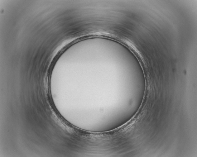 X0000087361032200704201142