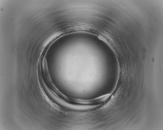 X0000087361034200704201142