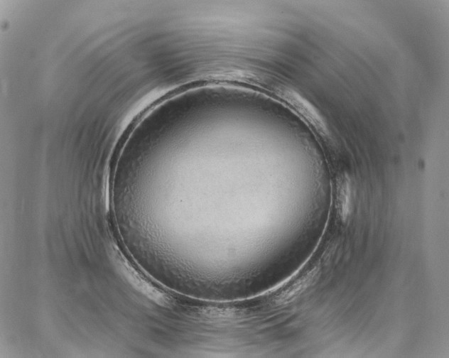 X0000087361036200704201142