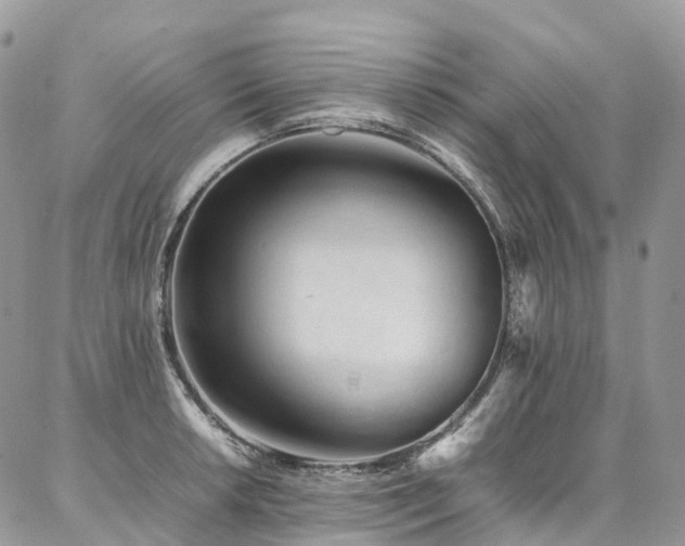 X0000087361042200704201142