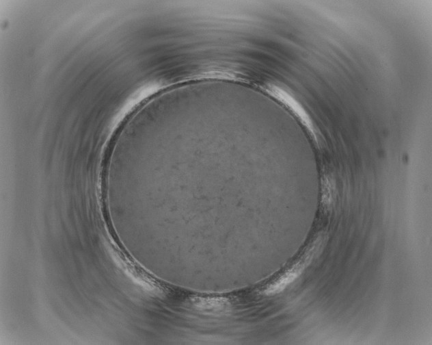 X0000087361043200704201142
