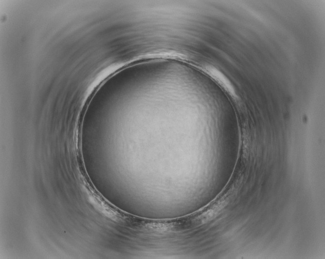 X0000087361044200704201142