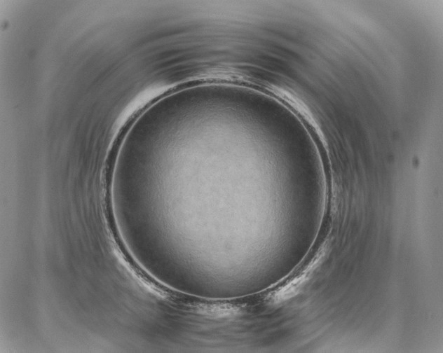 X0000087361045200704201142