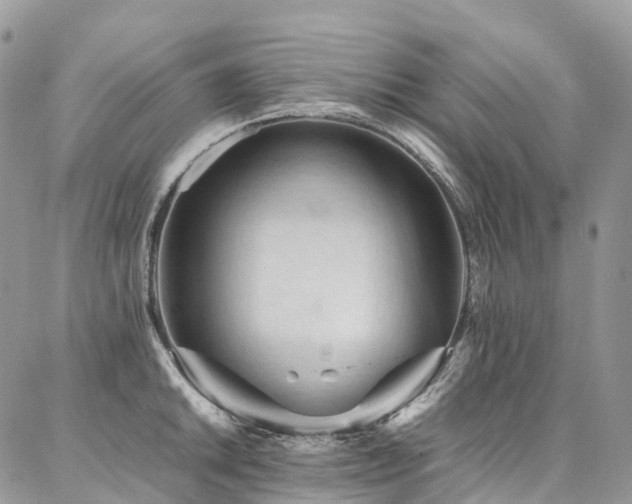 X0000087361046200704201142