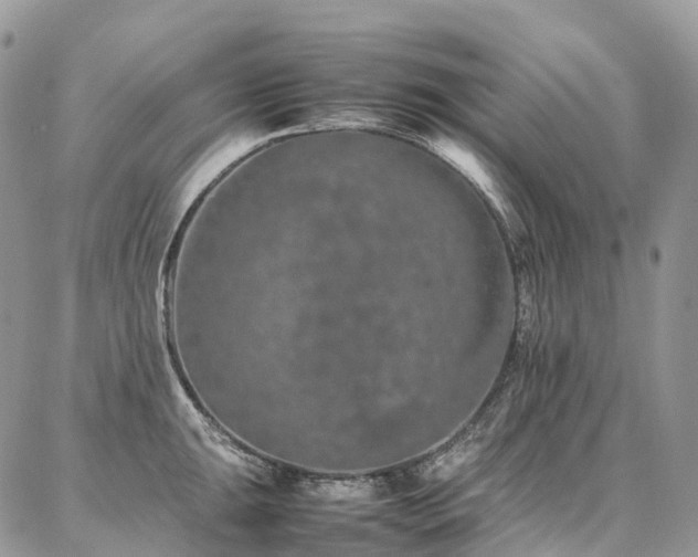 X0000087361047200704201142