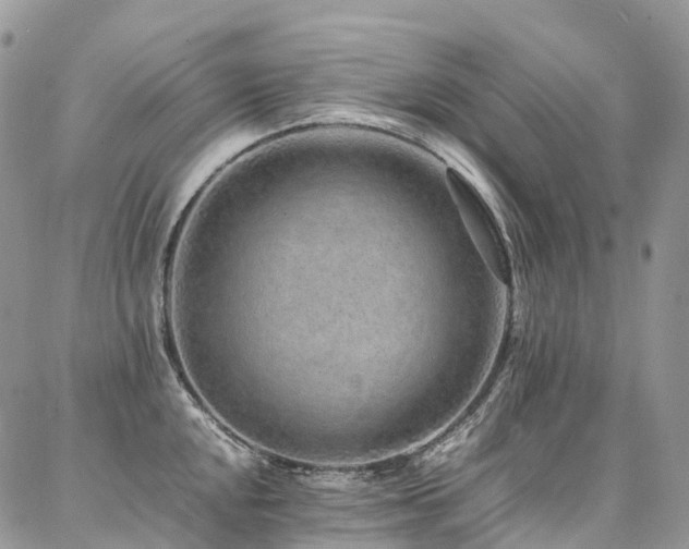 X0000087361048200704201142