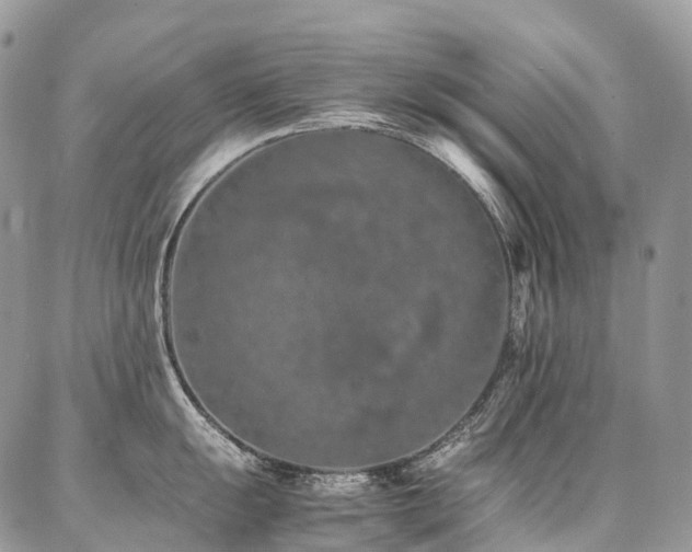 X0000087361055200704201142