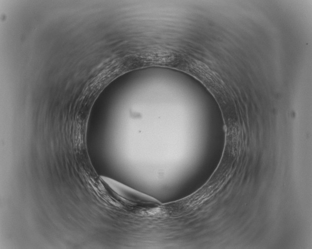 X0000087361058200704201141