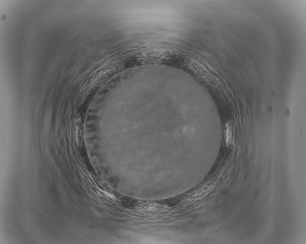 X0000087361059200704201141
