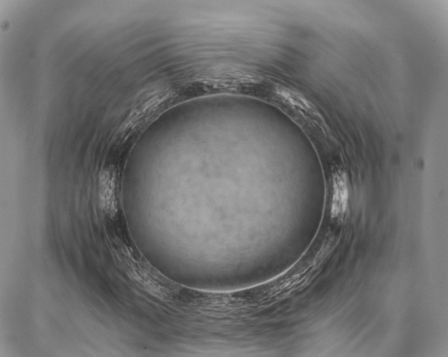 X0000087361060200704201141