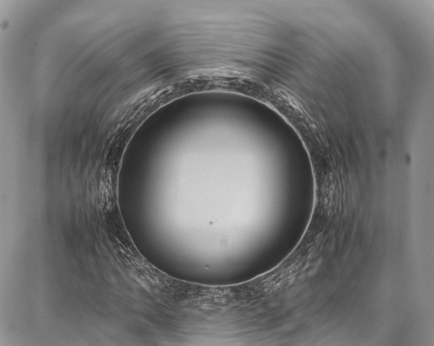 X0000087361062200704201141