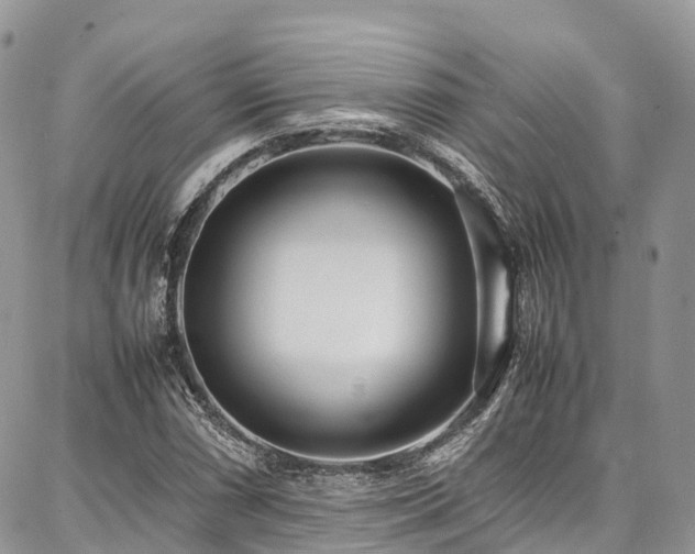 X0000087361066200704201141