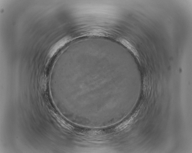 X0000087361067200704201141
