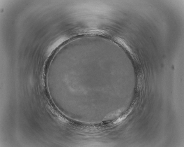 X0000087361071200704201141