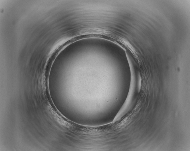 X0000087361072200704201141