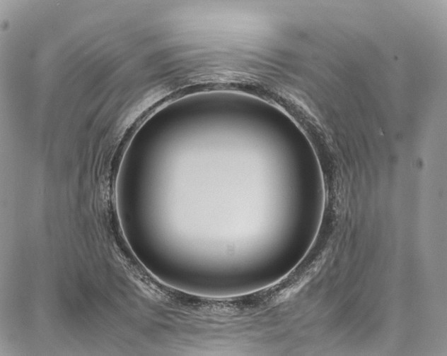 X0000087361073200704201141