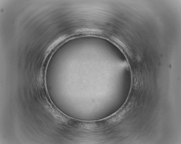 X0000087361074200704201141