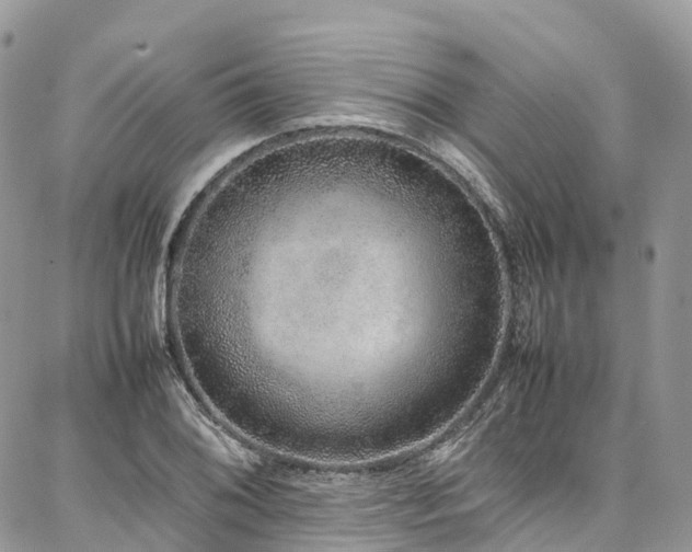 X0000087361076200704201141