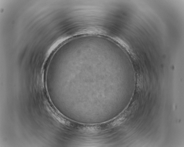 X0000087361078200704201141