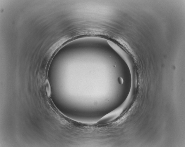 X0000087361081200704201141
