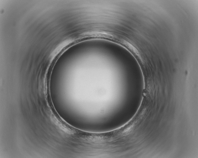 X0000087361082200704201141