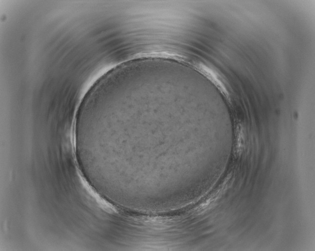 X0000087361084200704201141