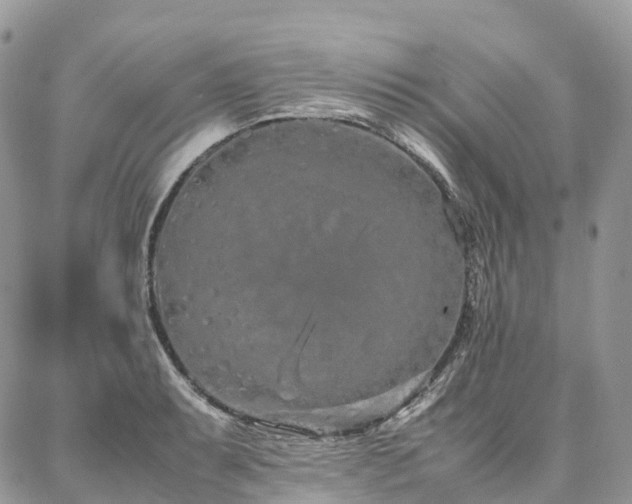 X0000087361087200704201141