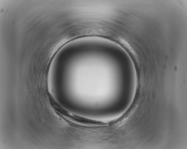 X0000087361089200704201141