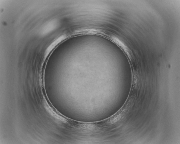 X0000087361090200704201141
