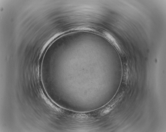 X0000087361092200704201141