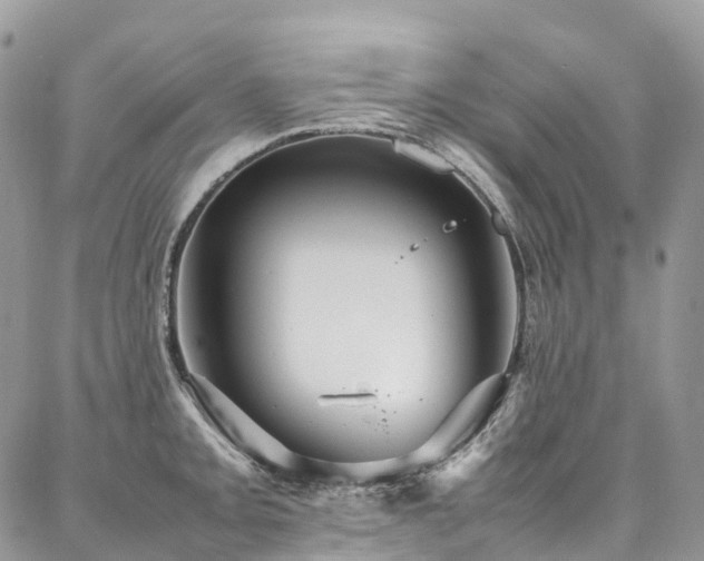 X0000087361093200704201141