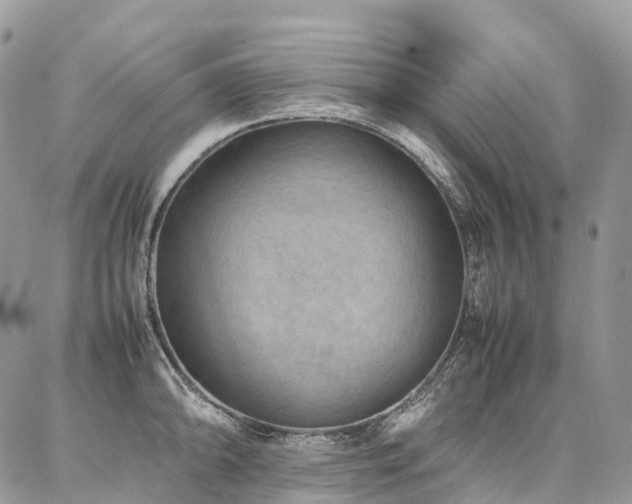 X0000087361094200704201141