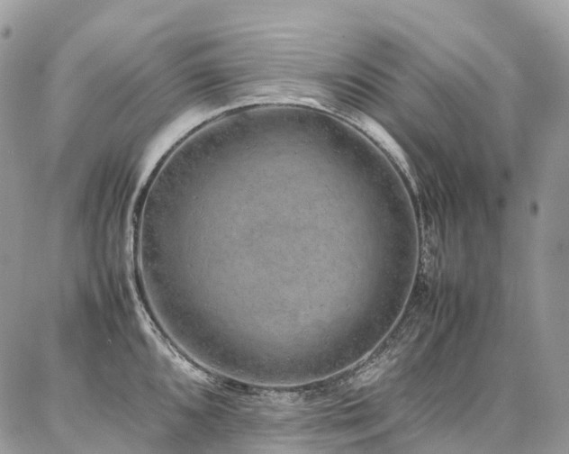 X0000087361096200704201141