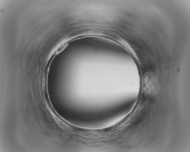 X0000087361101200704201141