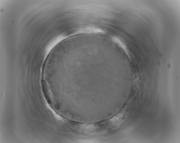 X0000087361103200704201141