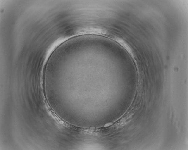 X0000087361104200704201141