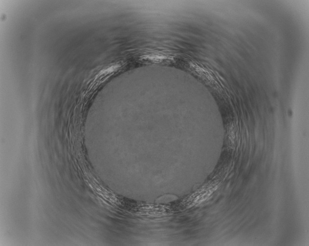 X0000087361105200704201140